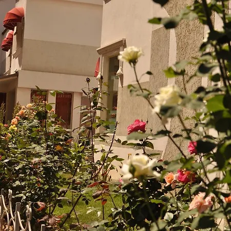 Theranda Boutique 3* 티라나