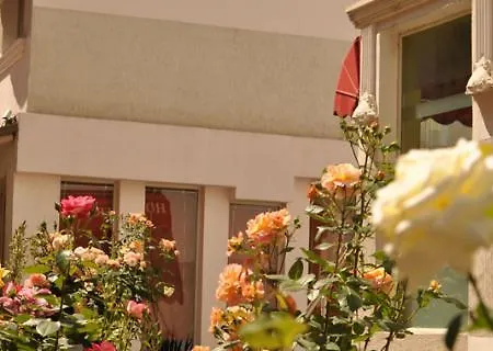 Theranda Boutique 티라나