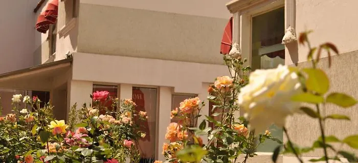 Theranda Boutique Тирана